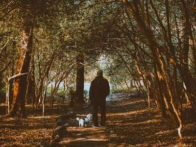 wandeling in het park kost je helemaal niets