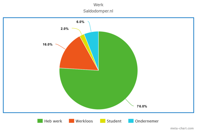 Werk en studie onder flitskrediet leners